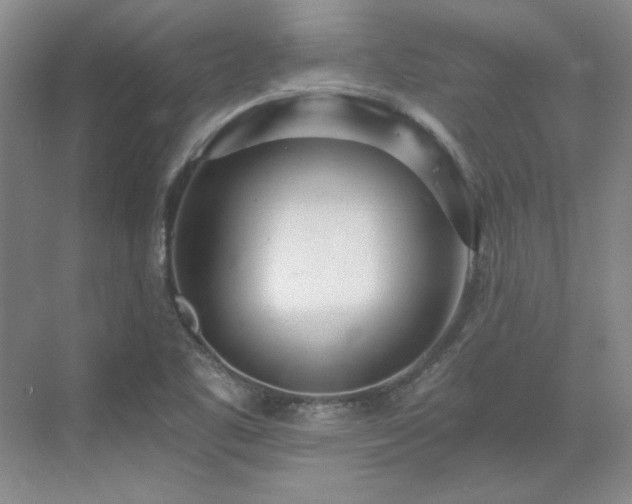 X0000071351461200606301640