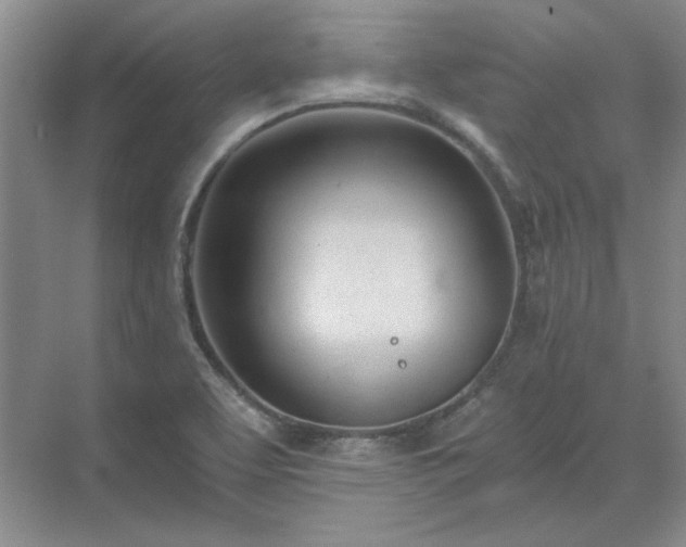 X0000071351463200606301640