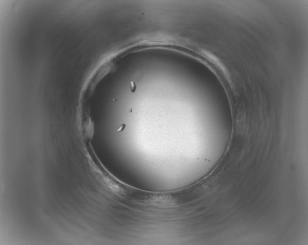 X0000071351464200606301640