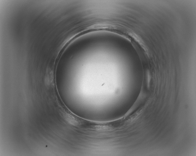 X0000071351465200606301640