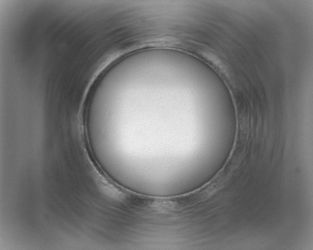 X0000071351466200606301640