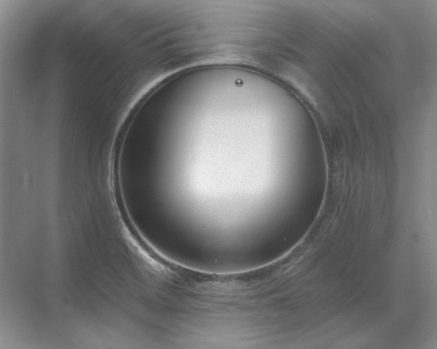 X0000071351468200606301640