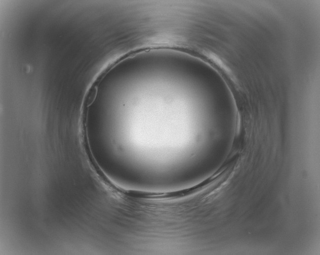 X0000071351469200606301639