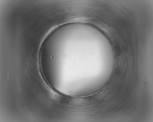 X0000071351470200606301639