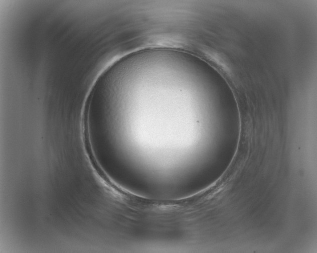 X0000071351471200606301639