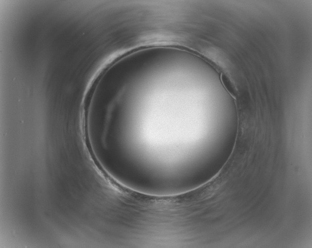 X0000071351472200606301639