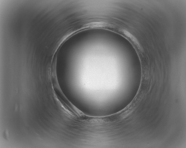 X0000071351473200606301639