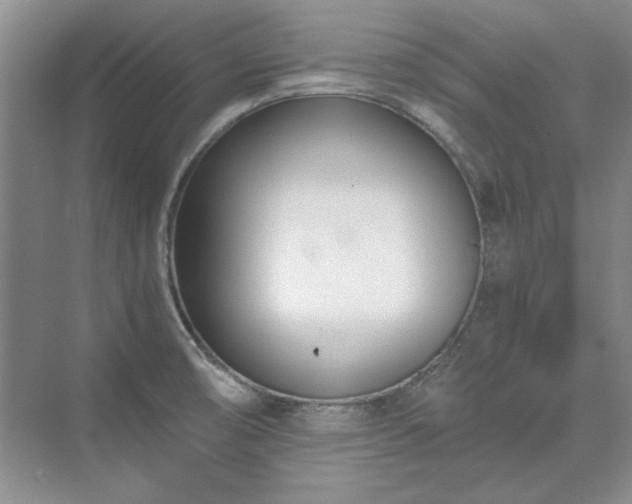 X0000071351474200606301639