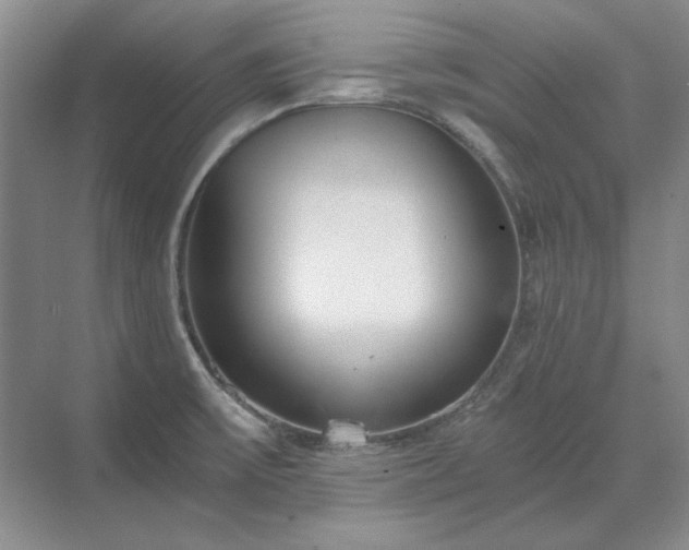 X0000071351475200606301639