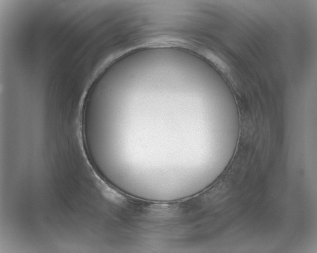 X0000071351478200606301639