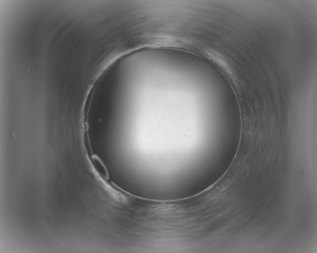 X0000071351479200606301639