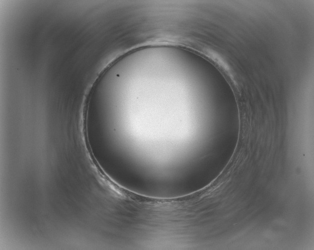 X0000071351480200606301639