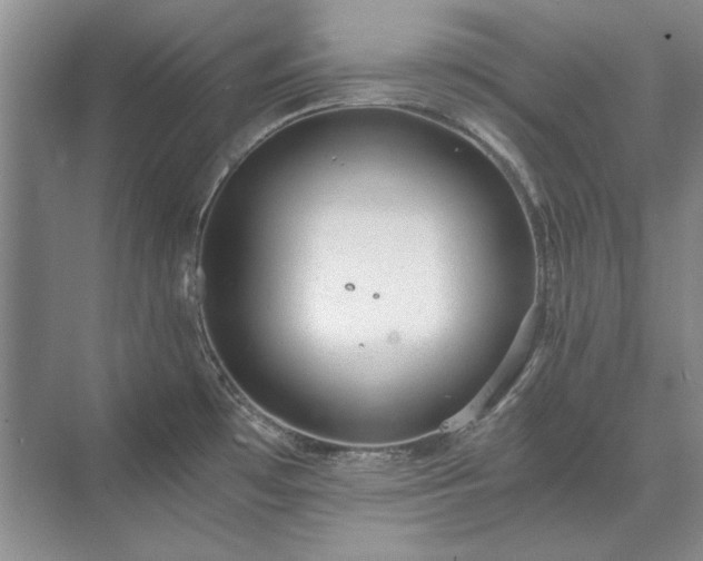 X0000071351481200606301639