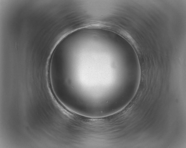 X0000071351483200606301639