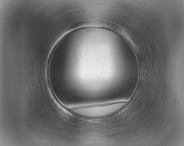 X0000071351484200606301639