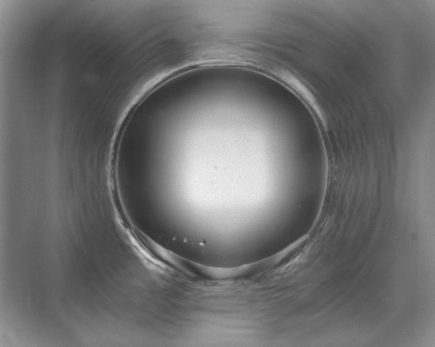 X0000071351485200606301639