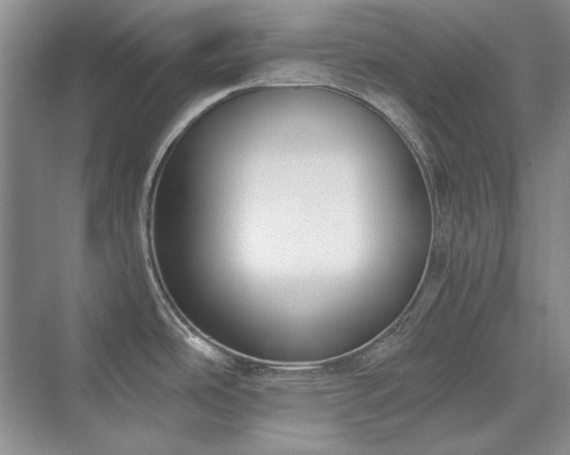 X0000071351486200606301639