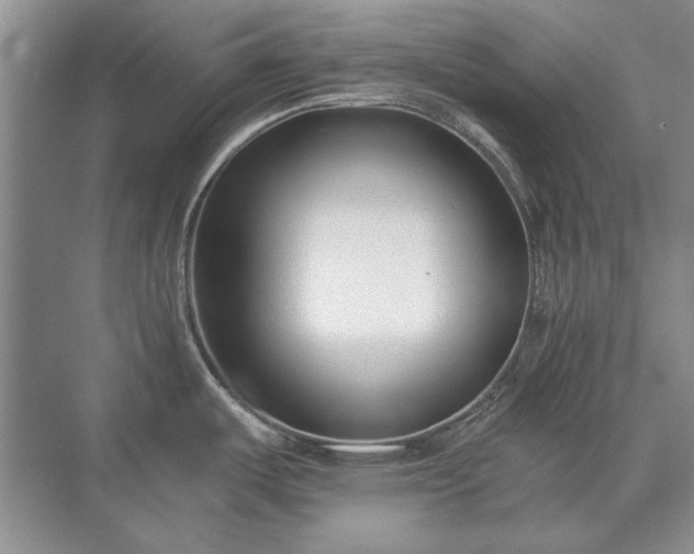 X0000071351487200606301639