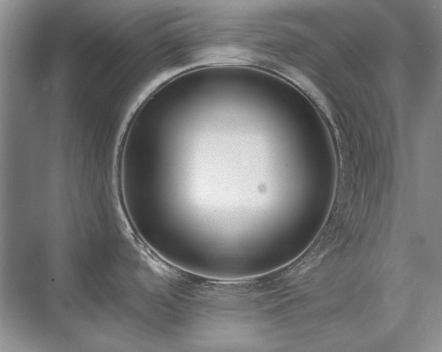 X0000071351488200606301639