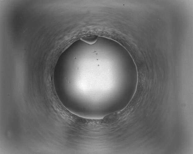 X0000071351489200606301638