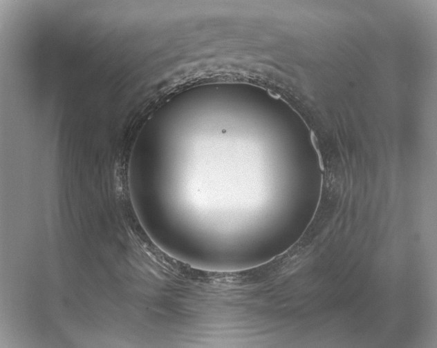 X0000071351490200606301638