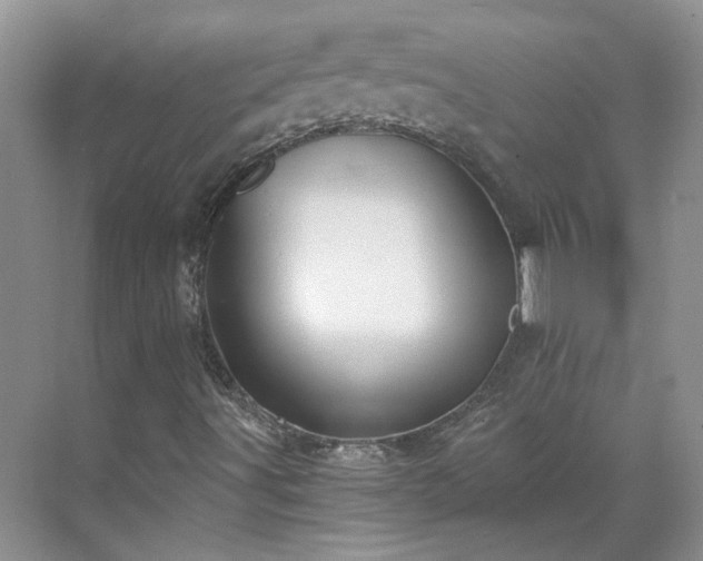 X0000071351491200606301638