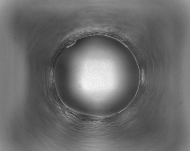 X0000071351492200606301638