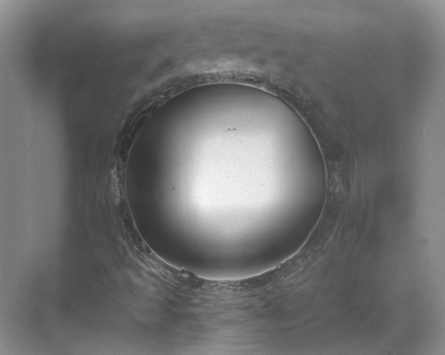 X0000071351493200606301638