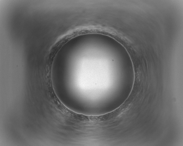 X0000071351494200606301638