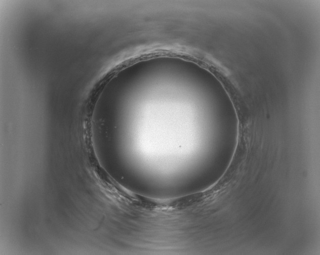 X0000071351496200606301638