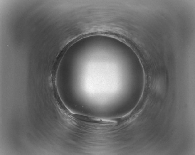 X0000071351497200606301639