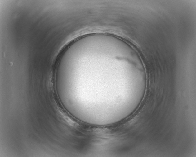 X0000071351498200606301639