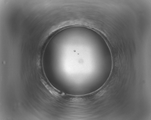 X0000071351499200606301639