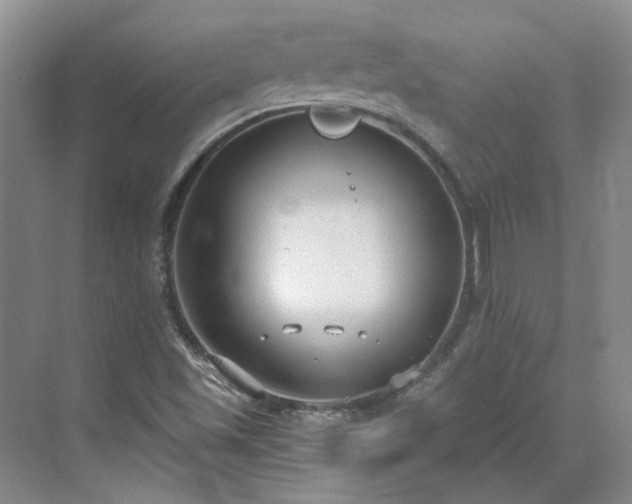 X0000071351501200606301639