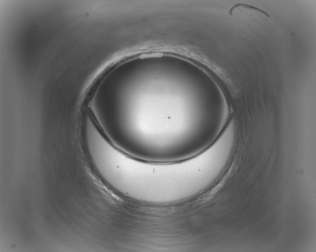 X0000071351502200606301639