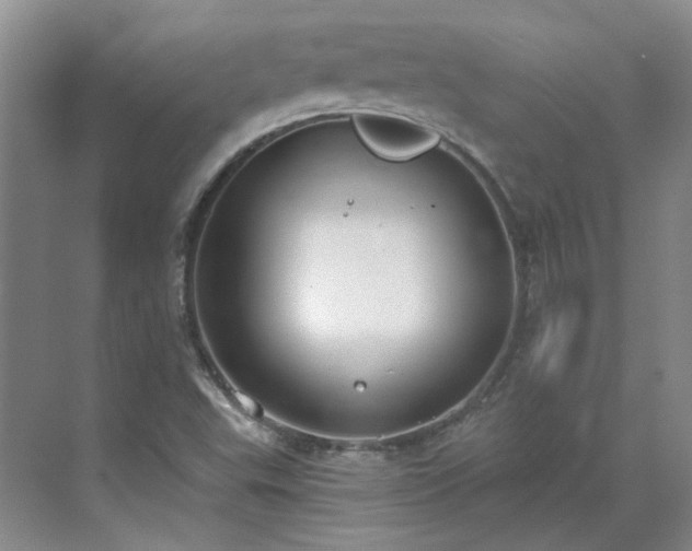 X0000071351503200606301639