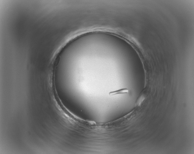 X0000071351504200606301639