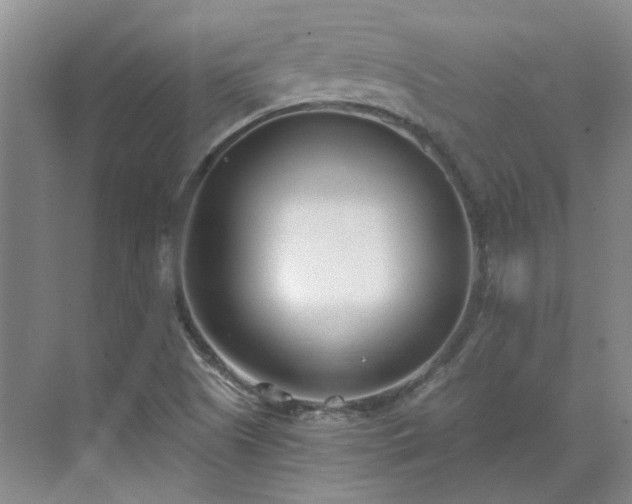 X0000071351505200606301639