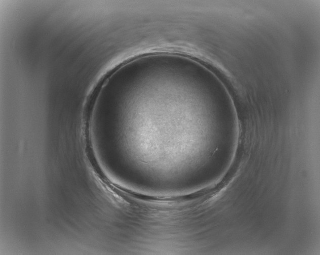 X0000071351506200606301639