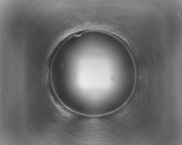 X0000071351507200606301639