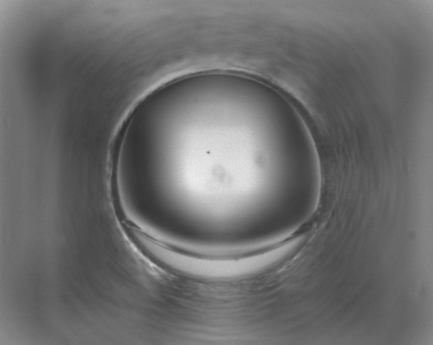 X0000071351508200606301639