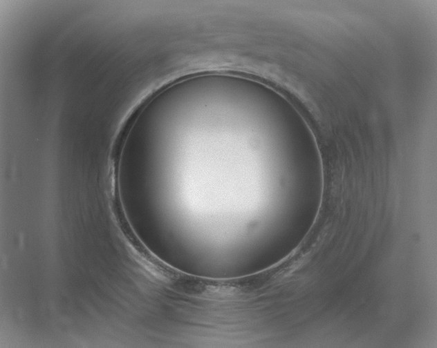 X0000071351509200606301639