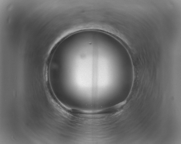 X0000071351510200606301639