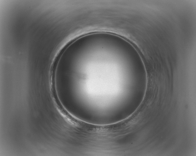 X0000071351511200606301639