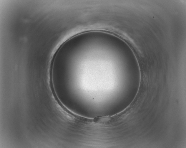 X0000071351512200606301639