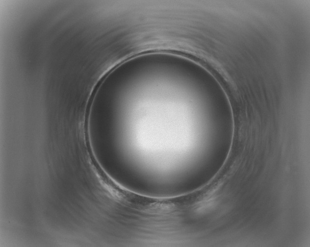 X0000071351513200606301639