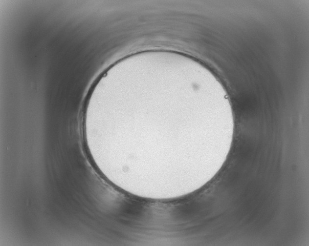 X0000071351514200606301639