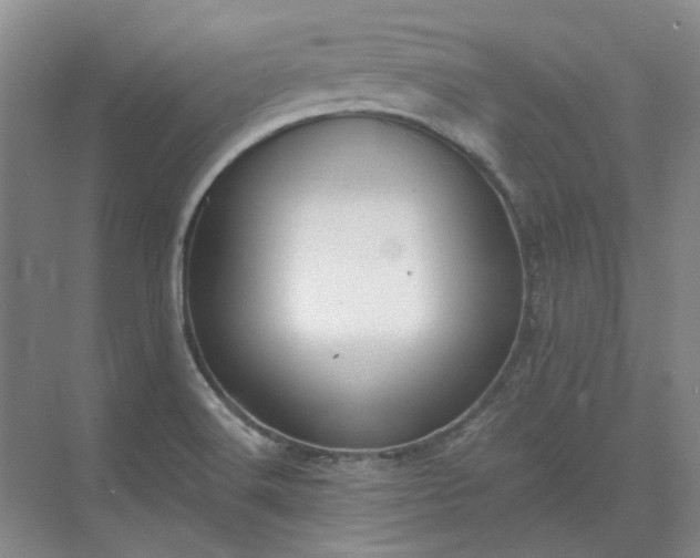 X0000071351516200606301639