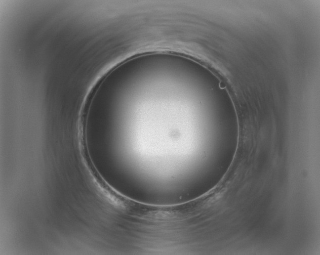 X0000071351517200606301639