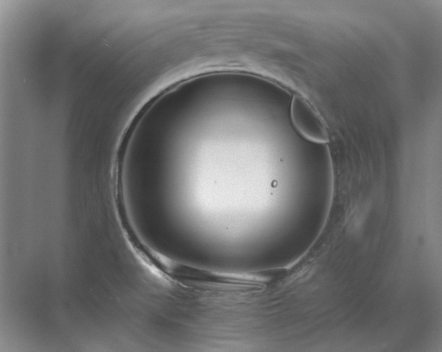 X0000071351519200606301639